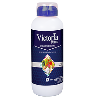 Victoria Super