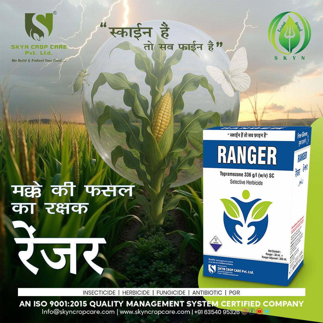 RANGER (Topramezone) Selective Herbicide: Smart Weed Control for Maize Farmers
