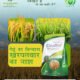 Clodinofop Propargyl 15% WP: Advanced Grass Weed Control for Wheat Farmers