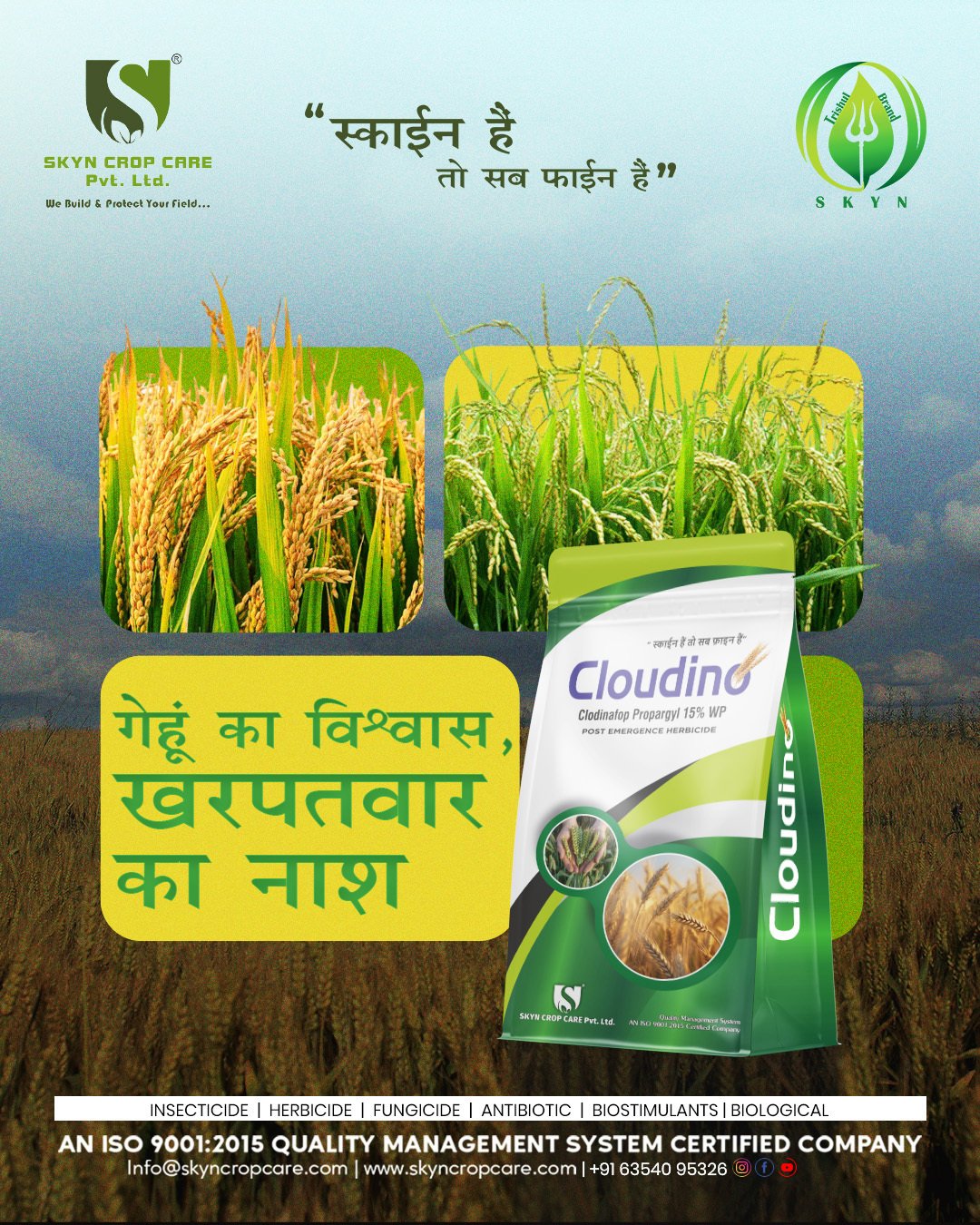 Clodinofop Propargyl 15% WP: Advanced Grass Weed Control for Wheat Farmers