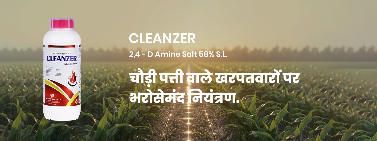 CLEANZER (1)