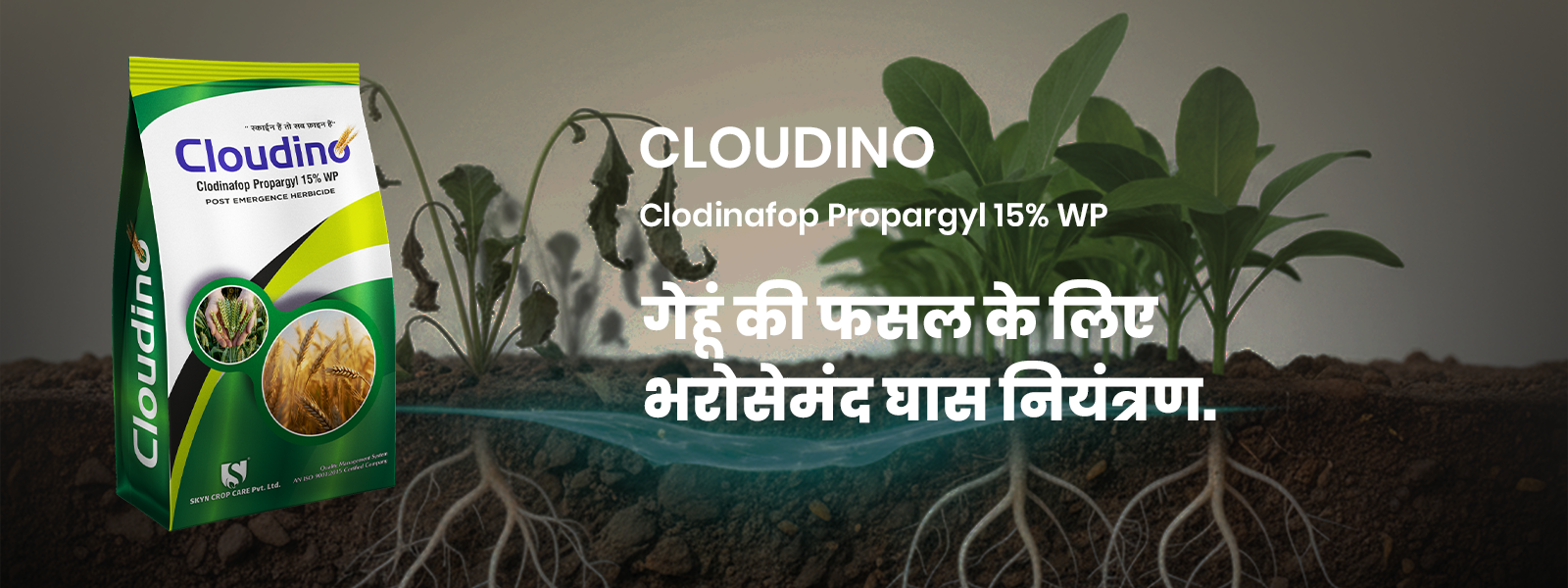 clodunine