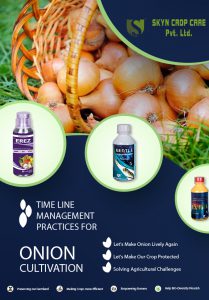 Onion Cultivation made easy by Skyn, Timeline for Onion Crop Cultivation