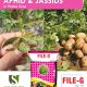 Eliminate Aphids & Jassids in Potato Crop Carbofuran 3% cg