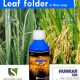 Eliminate Leaf Folder from Rice crop