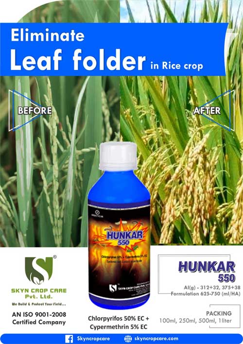 Eliminate Leaf Folder from Rice crop