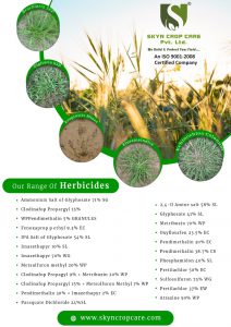 herbicides skyn herbs preventing