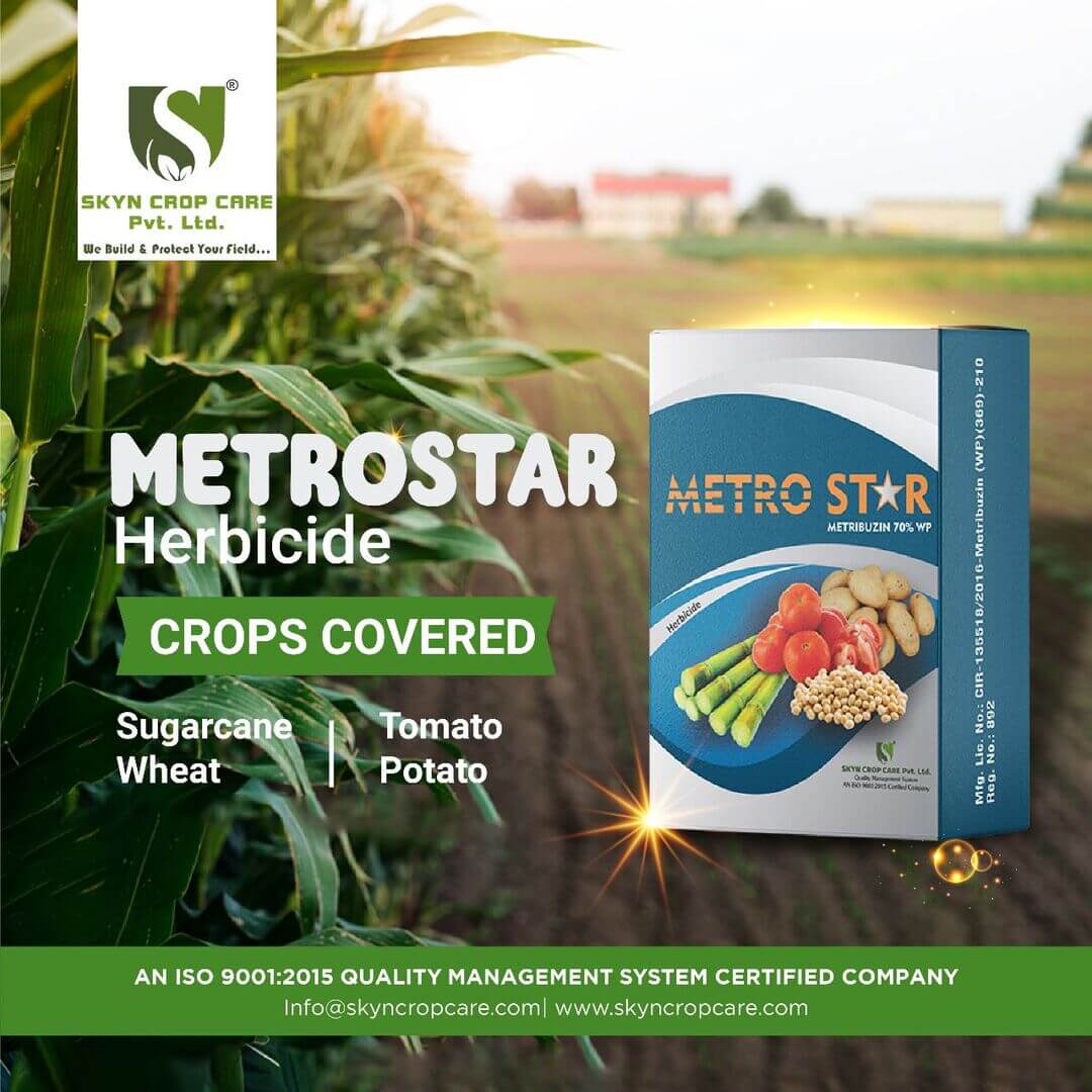 Metro Star Herbicide