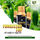 Fungistar Top Fungicide